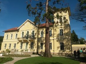 Castle - Villa Lubienski